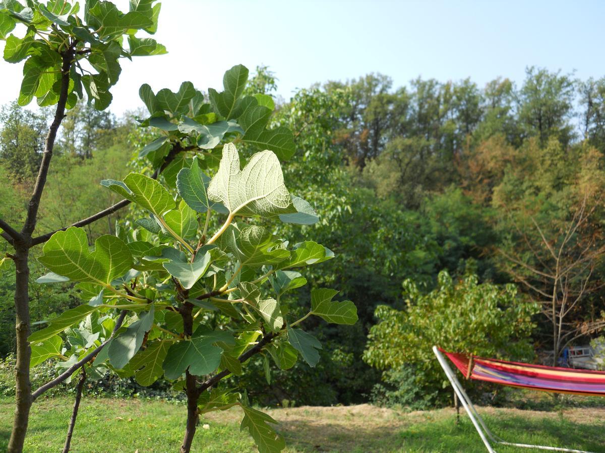 Bed and Breakfast Casa Clotilde Stazzano Экстерьер фото