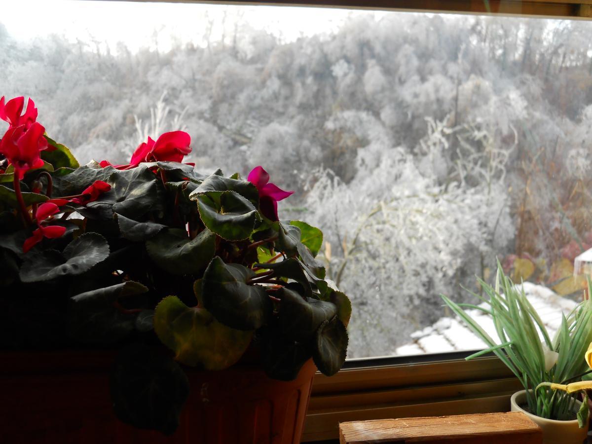 Bed and Breakfast Casa Clotilde Stazzano Экстерьер фото